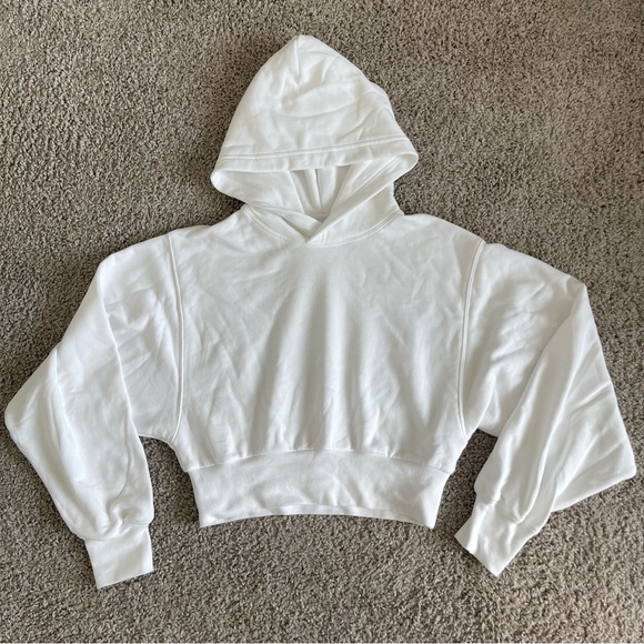 TNA Tops - TNA Aritzia Cropped Oversized Hoodie